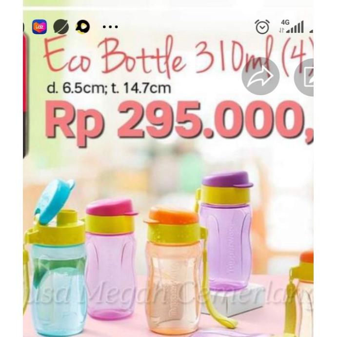 eco bottle 310 ml (4)