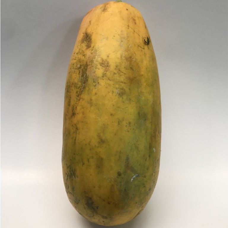 

PEPAYA KALIFORNIA satuan berat +/- 1kg