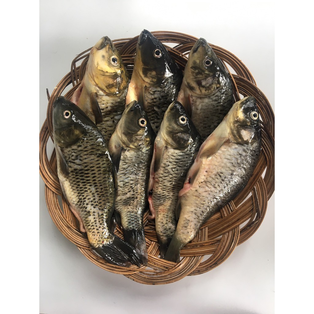 

Ikan Mas 500 Gram