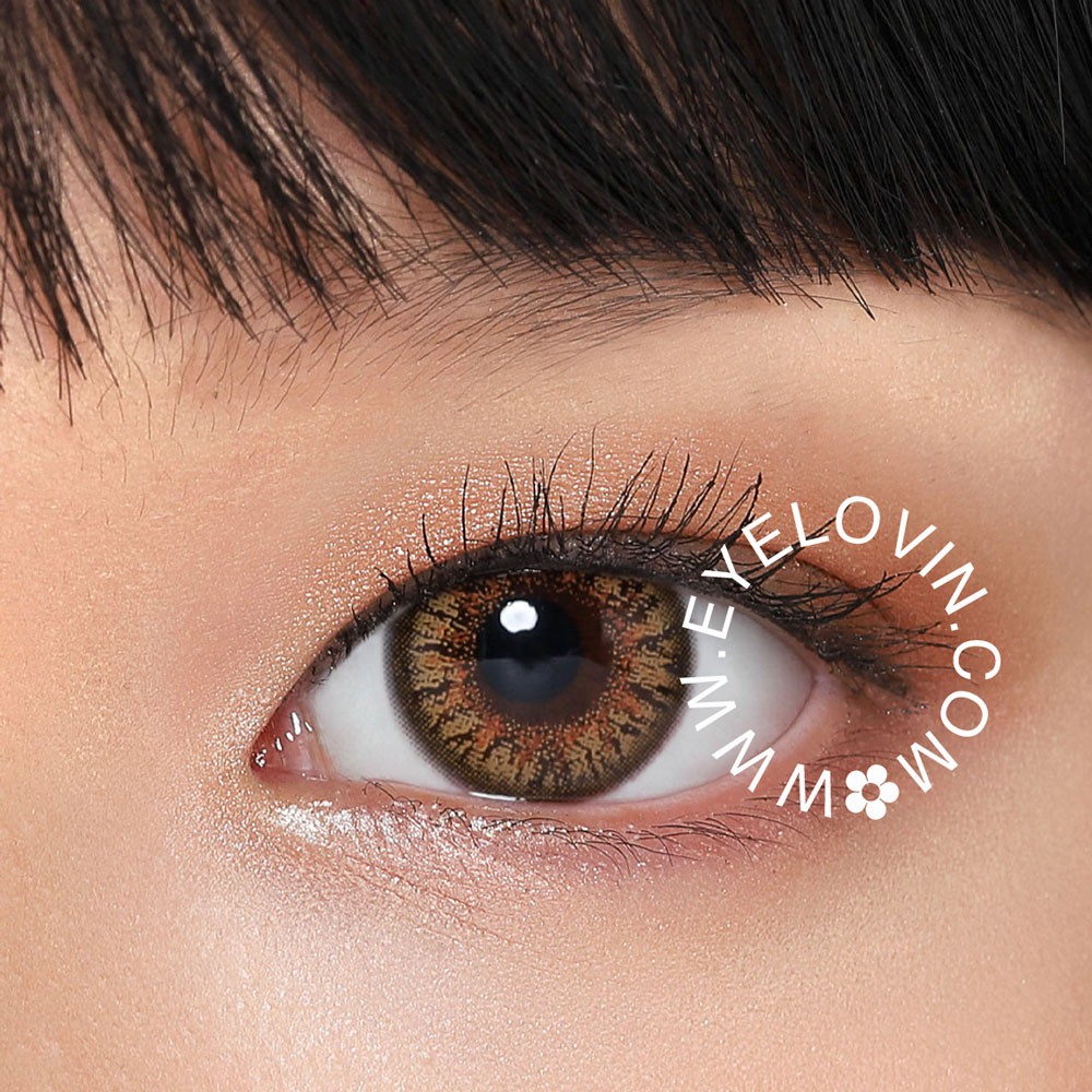 EYELOVIN Softlens Kitty Kawaii - Mini Twinkle Brown