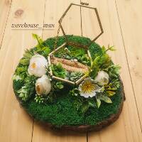 Terrarium geometric wedding ring glass box hiasan  tempat 