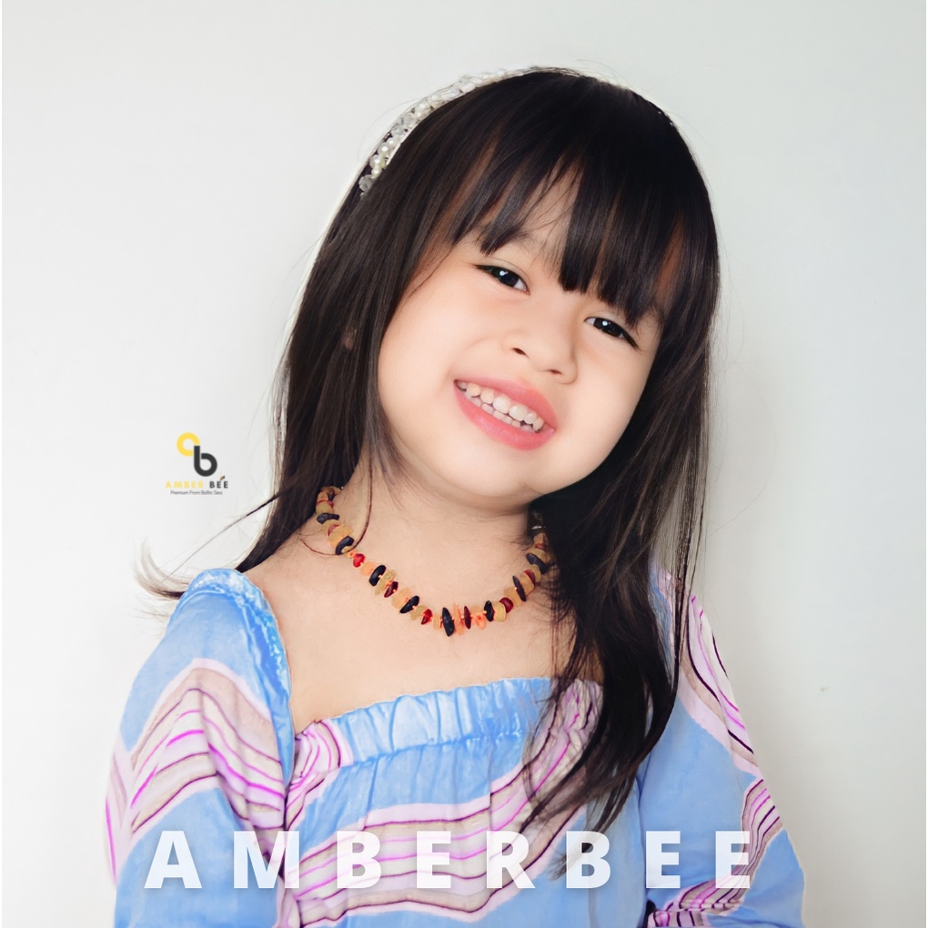 Kalung Amber 100% Baltic Premium Matte Multicolor Chips By Amber Bee NMMC94