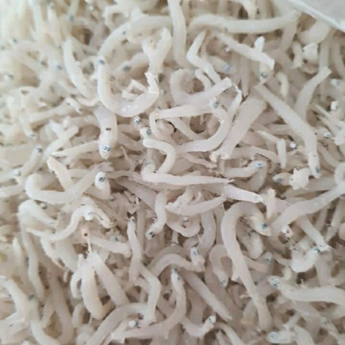 

Teri Toge Kasar Kualitas Super Asli Khas Medan 100% 1kg