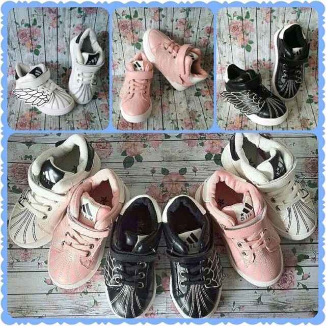mollyca shoes boots