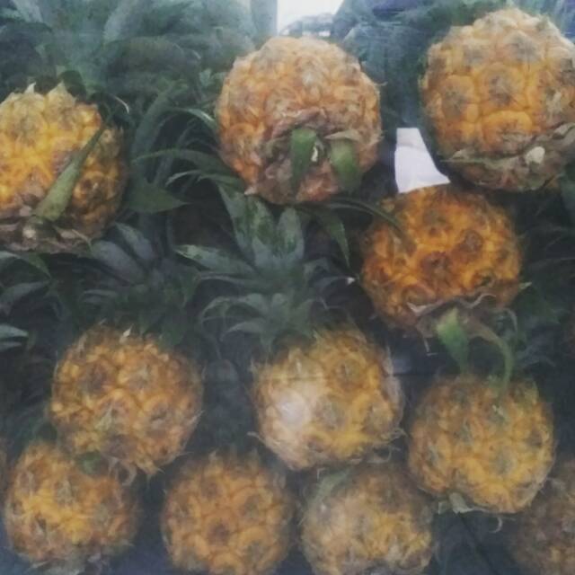

Nanas madu