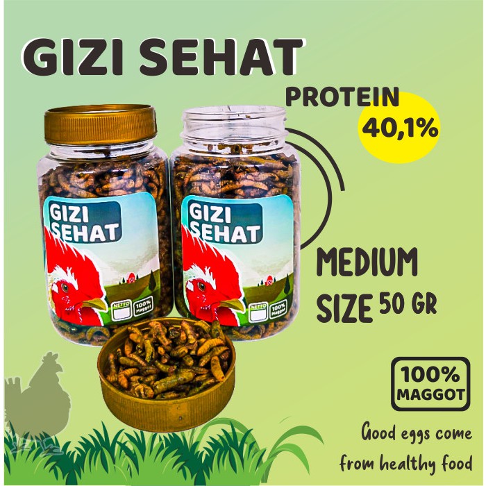 Pakan Makanan Pelet Ayam Pelung Serama Petelur Kate Maggot NEEDAMORE