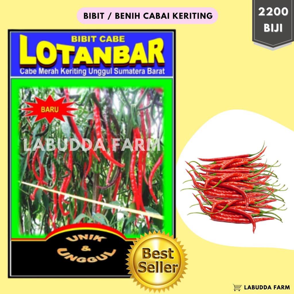 Bibit Cabe Merah Lotanbar 10g - Bibit Cabe Siap Tanam - Bibit Cabe Merah Keriting - Bibit Cabai Keri
