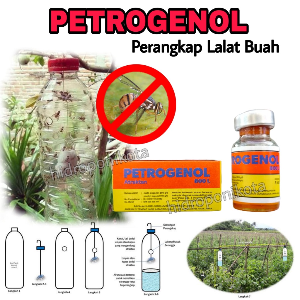 PETROGENOL 800L isi 5 ml - perangkap serangga dan lalat