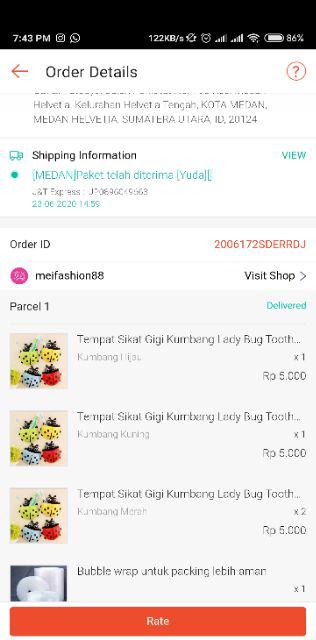 Tempat Sikat Gigi Kumbang Lady Bug Toothbrush Holder Unik