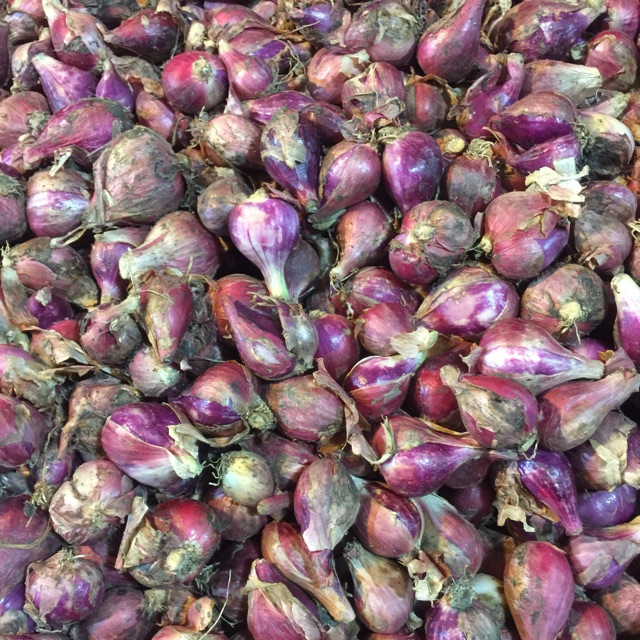 

Bawang merah