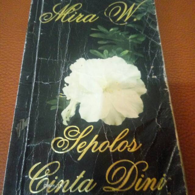 Novel Sepolos Cinta Dini - Mira W
