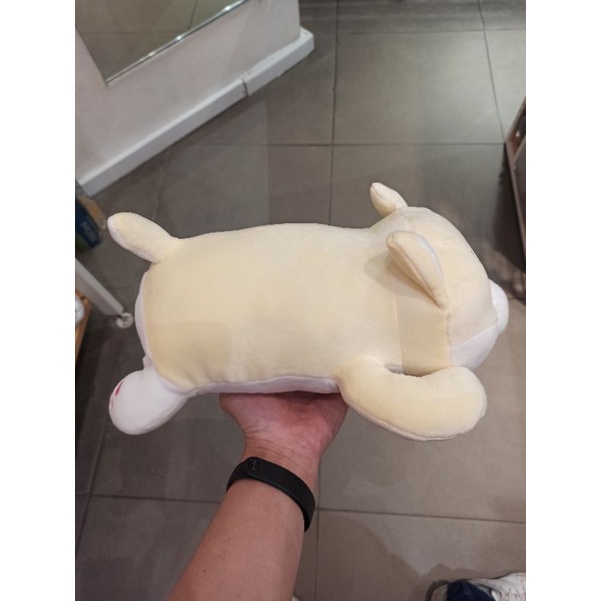 boneka shiba