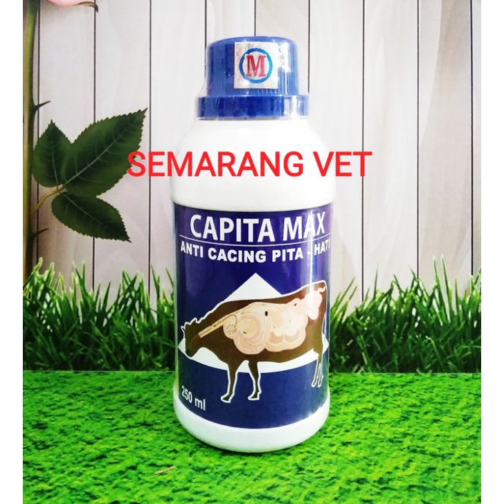 Jual Obat Cacing Sapi Spektrum Luas Obat Sapi Cacingan Obat Cacing ...