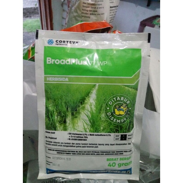 broadplus