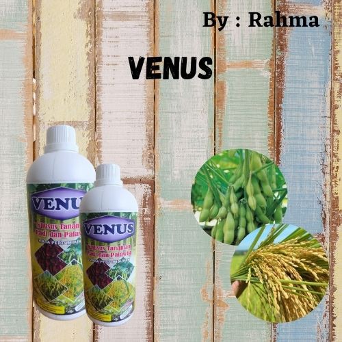VENUS PUPUK penyubur daun bawang Mikoriza pelindung tanaman