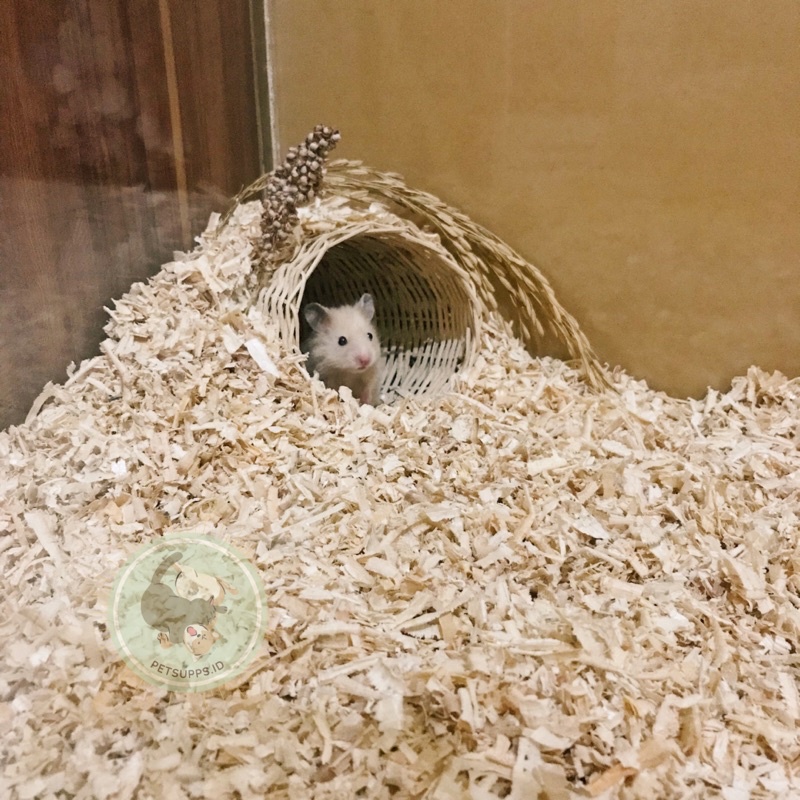 Rumah hamster | hamster hideout | rotan