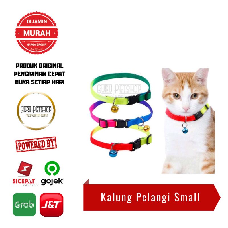 Kalung Leher Kucing Anjing dengan Lonceng Warna Pelangi / Kalung Kucing Pelangi Import