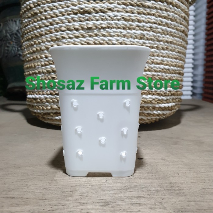 (LUSINAN 12 BH) Pot Kotak NKT 12 Jouss PUTIH Berlubang