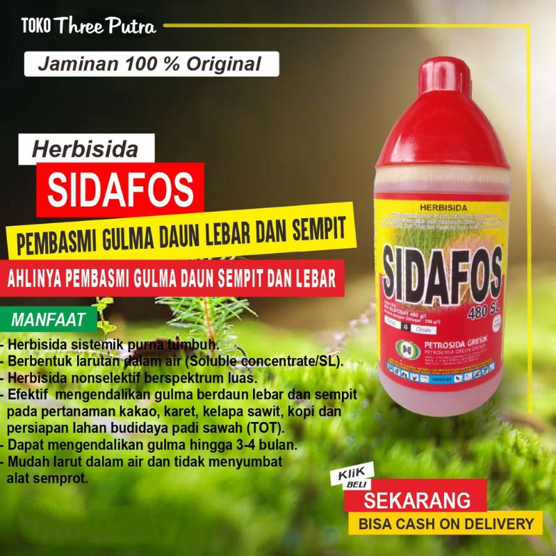 Sidafos 480 SL Herbisida Sistemik 1 Liter/Herbisida Sidafos 480 SL Kemasan 1 liter/Obat Pertanian