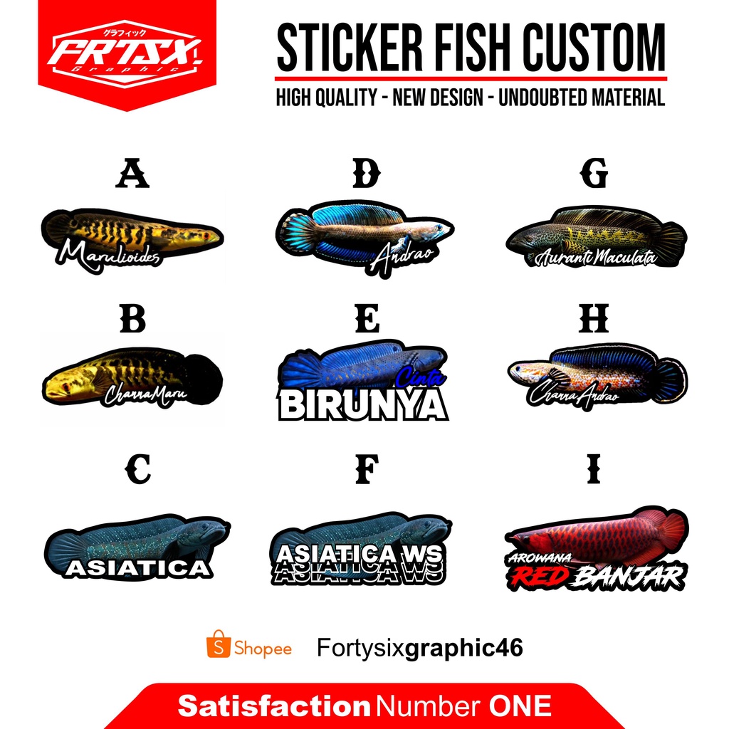 STIKER CHANNA PREDATOR FISH