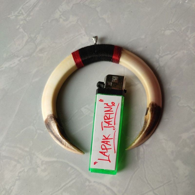 [ C O D ] - LIONTIN TARING BABI SEPASANG ASLI 999%.