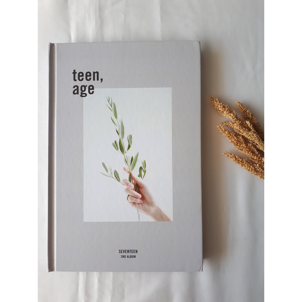 SEVENTEEN Teenage Teen age GREEN WHITE ALBUM ONLY