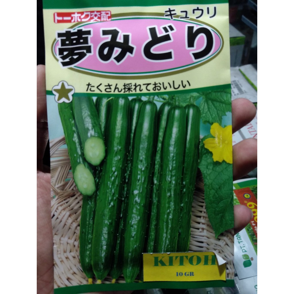 Bibit Timun Jepang Kitoh 10 gr / Benih Timun Jepang / Bibit Kyuri / Benih Kyuri.
