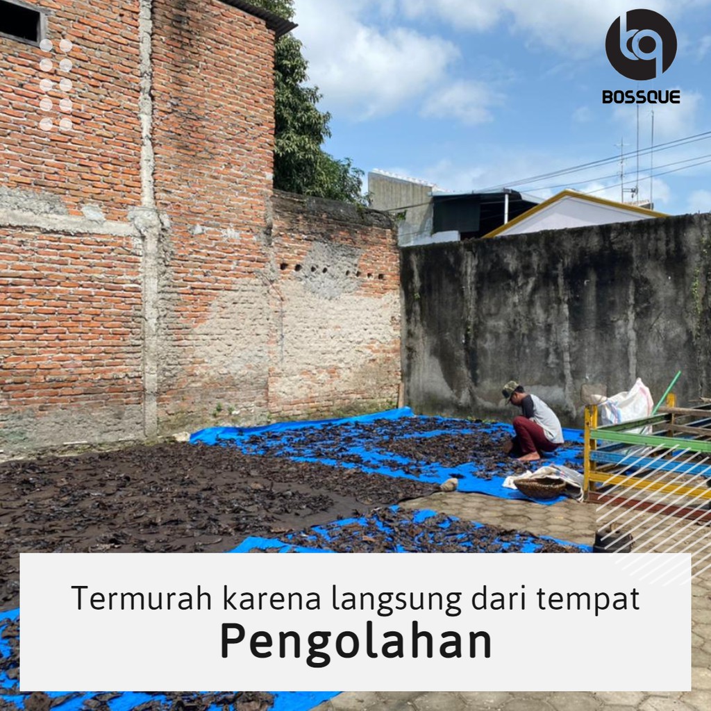 Daun Ketapang Laut Olahan Fermentasi Tidak Berminyak Siap Pakai Berat Bersih 100gram