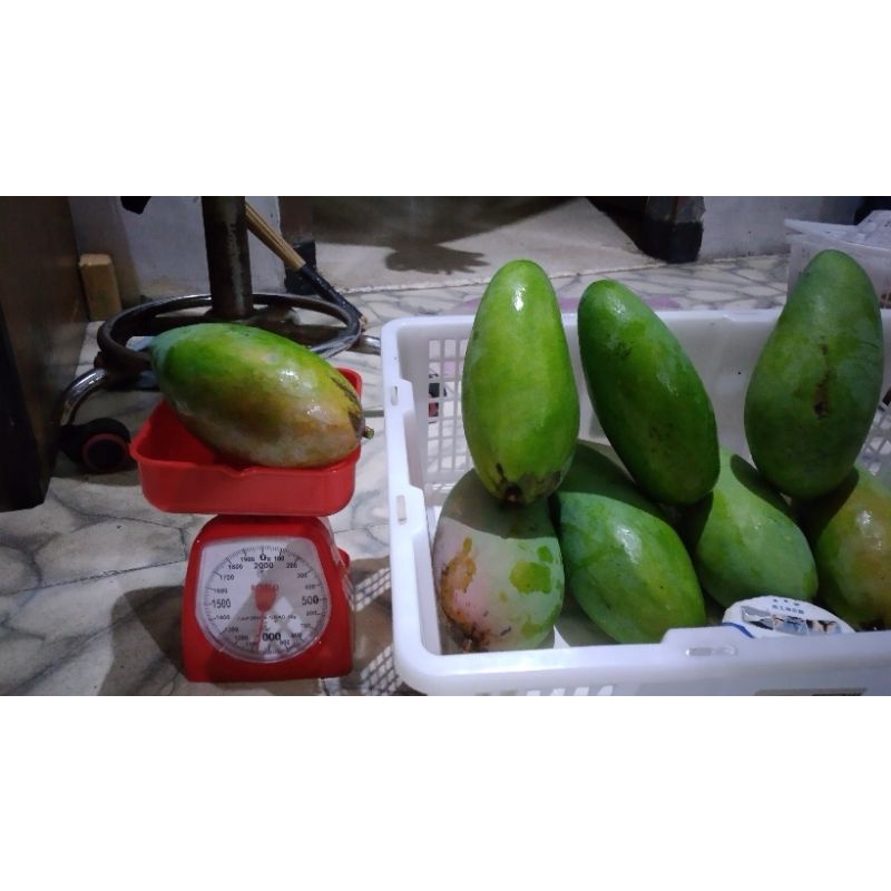 

mangga