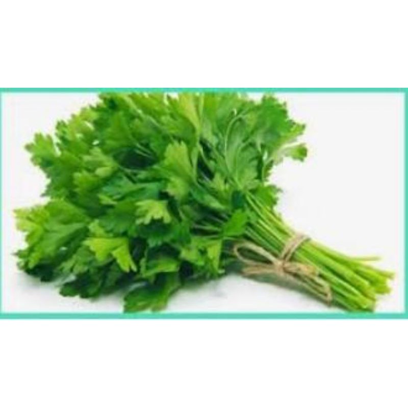 

SAYUR DAUN SLEDRI/500GRAM