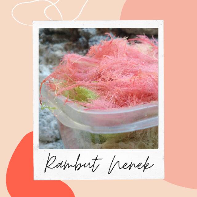 

Rambut Nenek / Harum Manis ukuran 500 gram