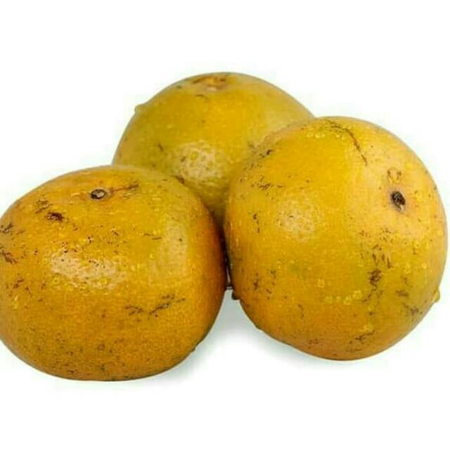 

Jeruk fresh 1kg