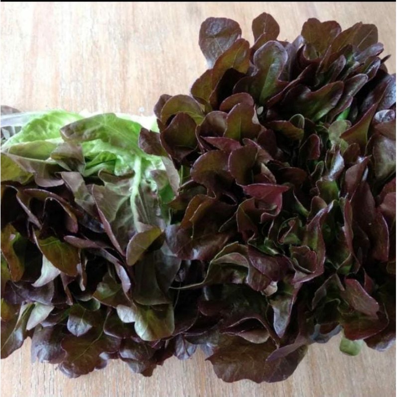 

Redoak organik 500gr