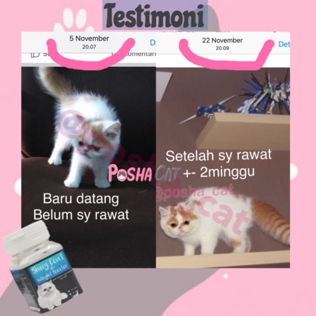 Posha_cat 🇰🇷 Vitamin kucing nafsu makan, gendutin , lebatin bulu &amp; imun tubuh | shiny coat &amp; weight booster