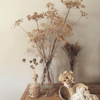 Aneka Bunga  kering Dried Flower PomPom Springkle Pikok 