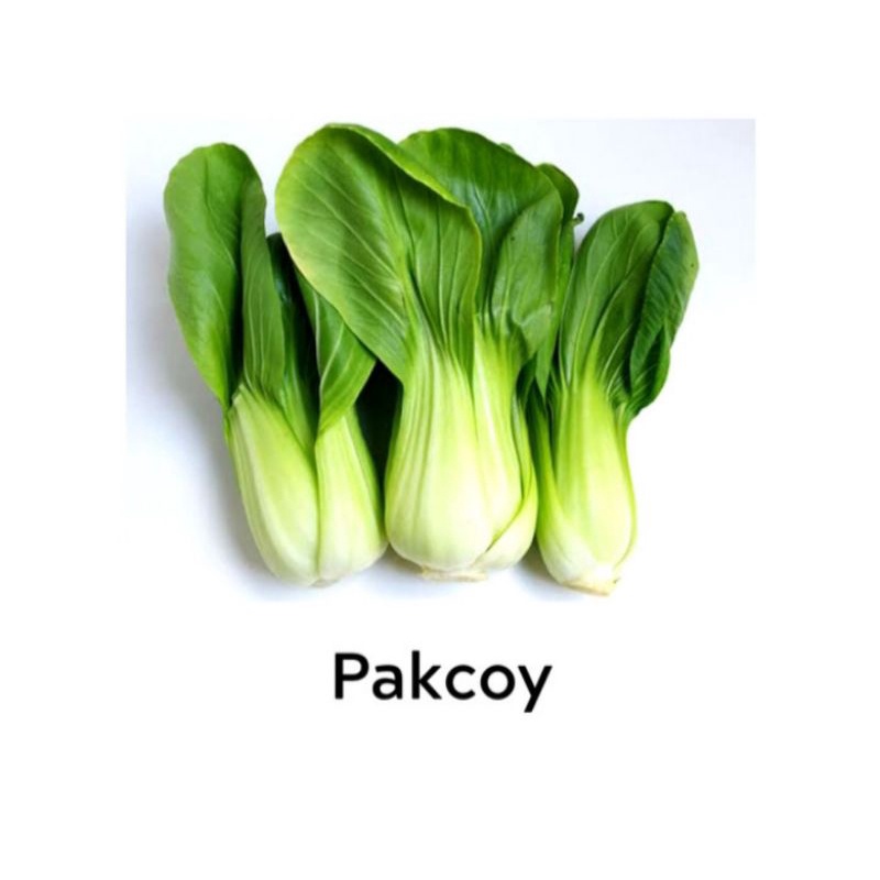 

sayur pakcoy
