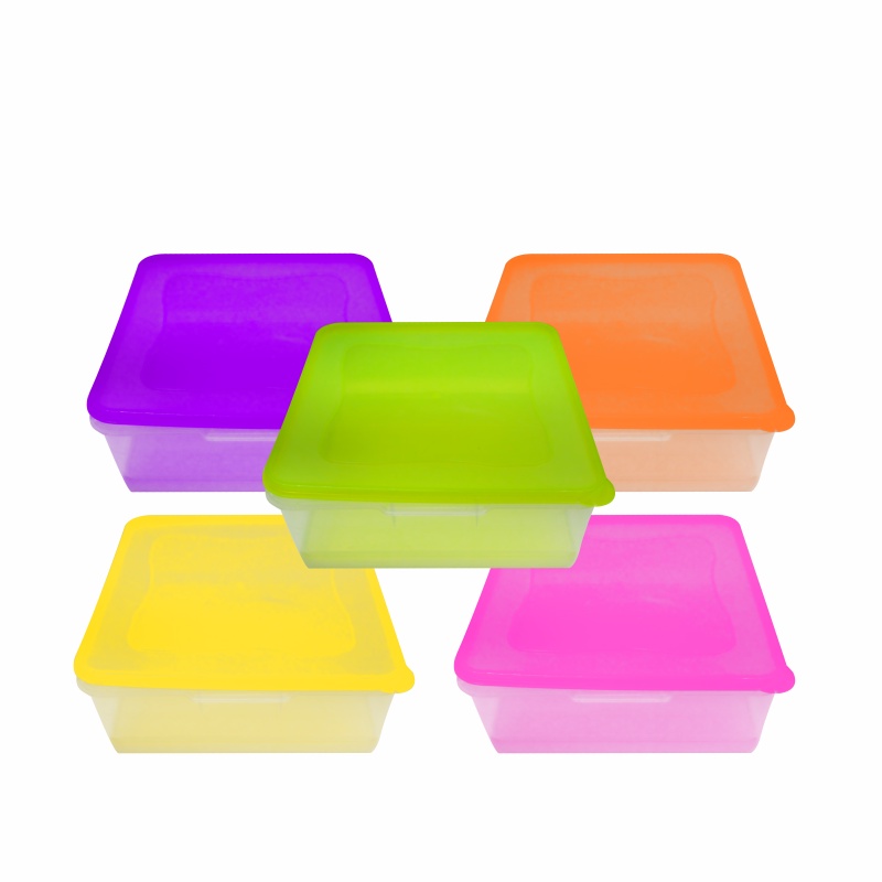 Sealware Kotak Donat Tempat Makanan Plastik 22cm Food Grade Wadah Kue Donut Brownies Tempat Penyimpa