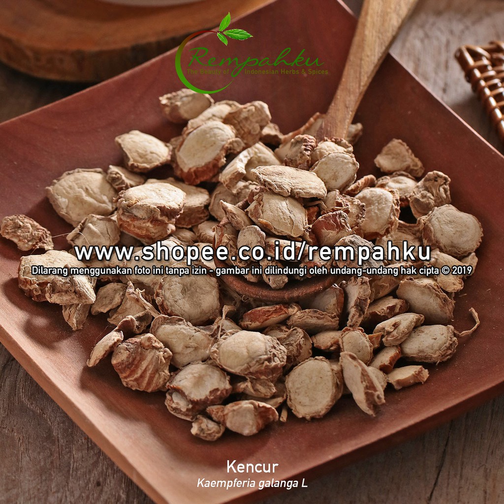 

Rempahku - KENCUR 10gr Herbal Kaempferia Galanga Kawicer Jamu Cikur