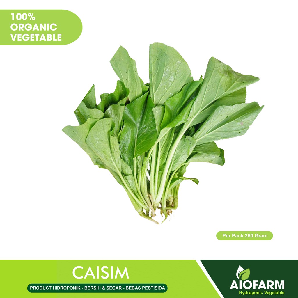 

Caisim Sayuran Organik / Hidroponik AioFarm 250 Gram