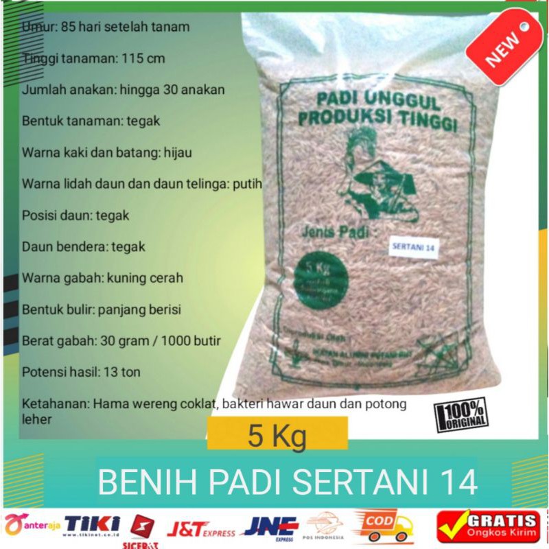 Benih bibit padi sertani 14  5kg