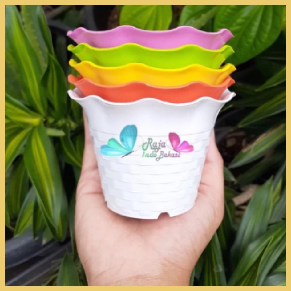 SUN FLOWER MDN 10cm WARNA WARNI Pot bunga Kecil Mini Pot Kaktus TERMURAH Pot Kaktus Mini Aesthetic Besar Keramik Lucu Plastik Gerabah 10cm