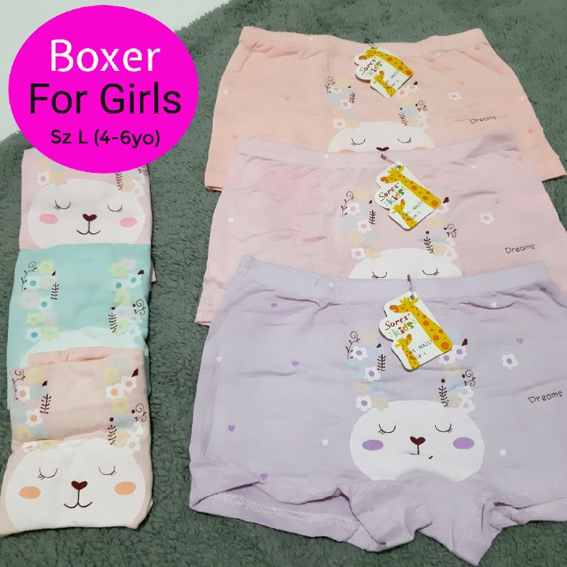 CD Anak Model Boxer 2-4yo &amp; 4-6yo