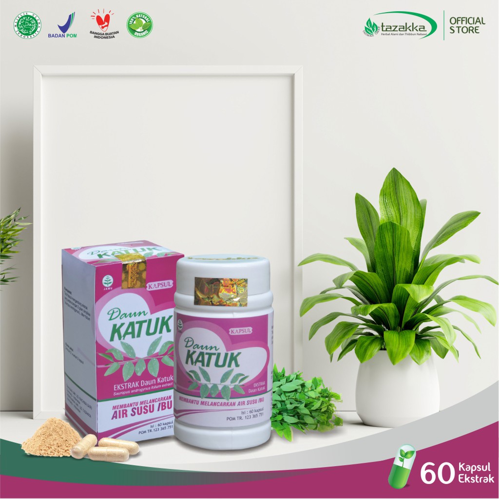 Herbal Khasiat Ampuh Untuk pelancar ASI dengan herba Daun Katuk | Original | Halal