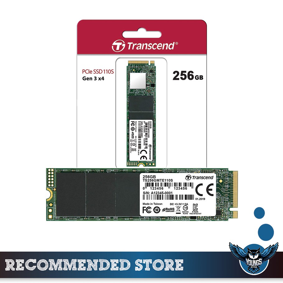 TRANSCEND 110S 256GB - SSD M.2 NVMe PCIe Gen3x4 M2 MTE110S