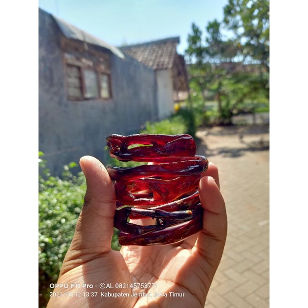 akar Bahar merah combong