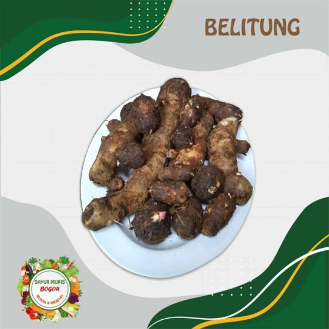 

TALAS BELITUNG / KUMPUL MURAH / FRESH / 1KG
