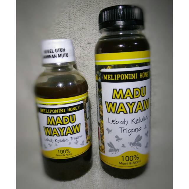 

Madu Trigona / Klanceng / Kelulut. Madu WAYAW