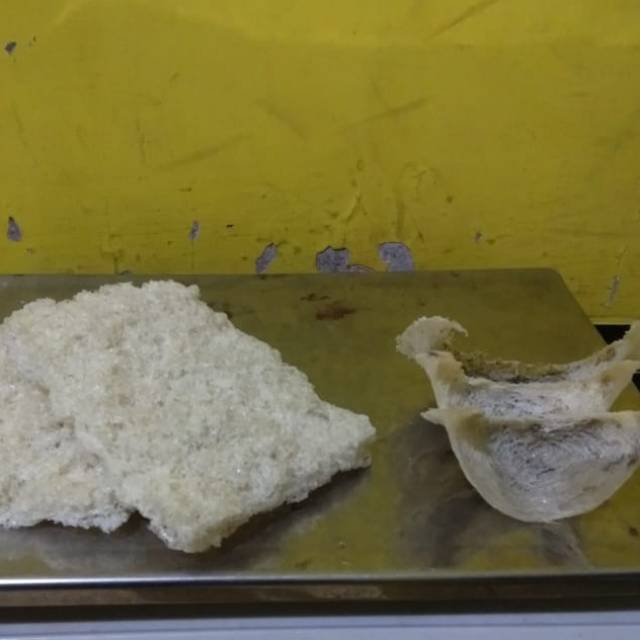 SARANG BURUNG WALET ANCURAN BERSIH