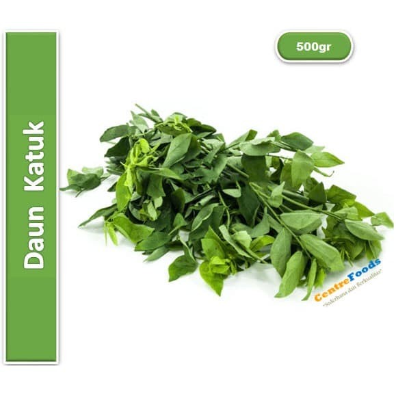 

Daun Katuk - Daun Cekur Manis Fresh | 500gr [ Harga Per 0,5 Kg ]