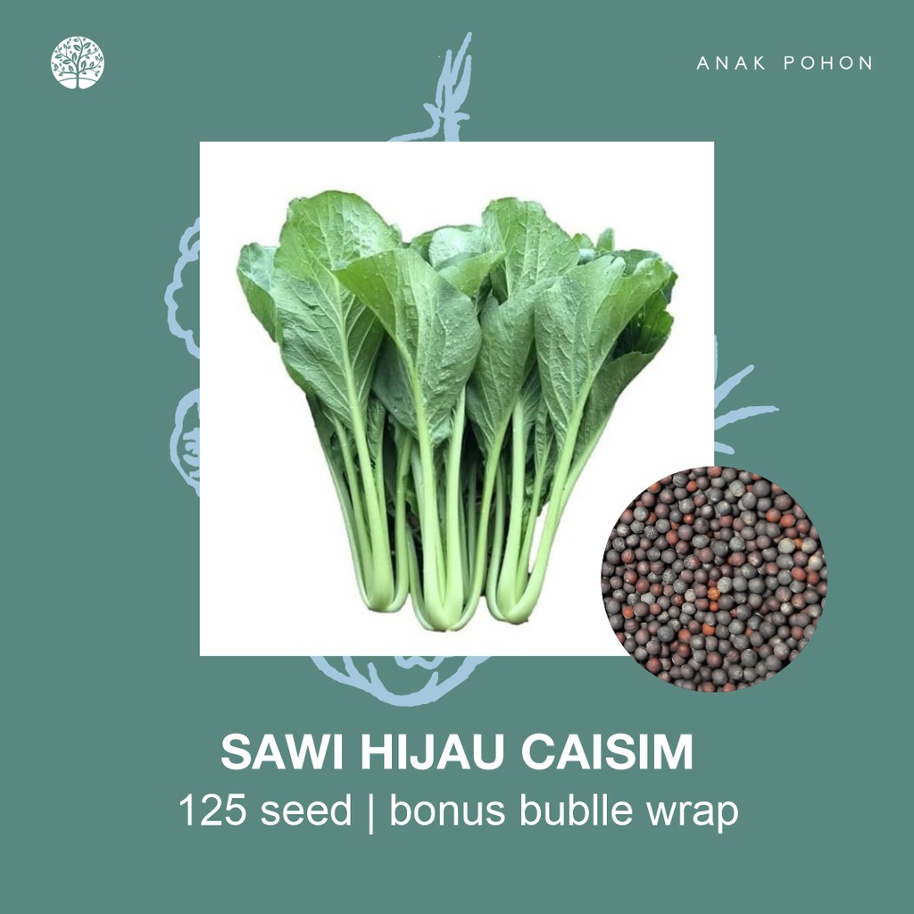 SERBA SERIBU - Benih Bibit Biji - Paket Benih Sayuran DAUN Termurah Kangkung Sawi Selada Seledri Kol-Sawi Hijau Caisim